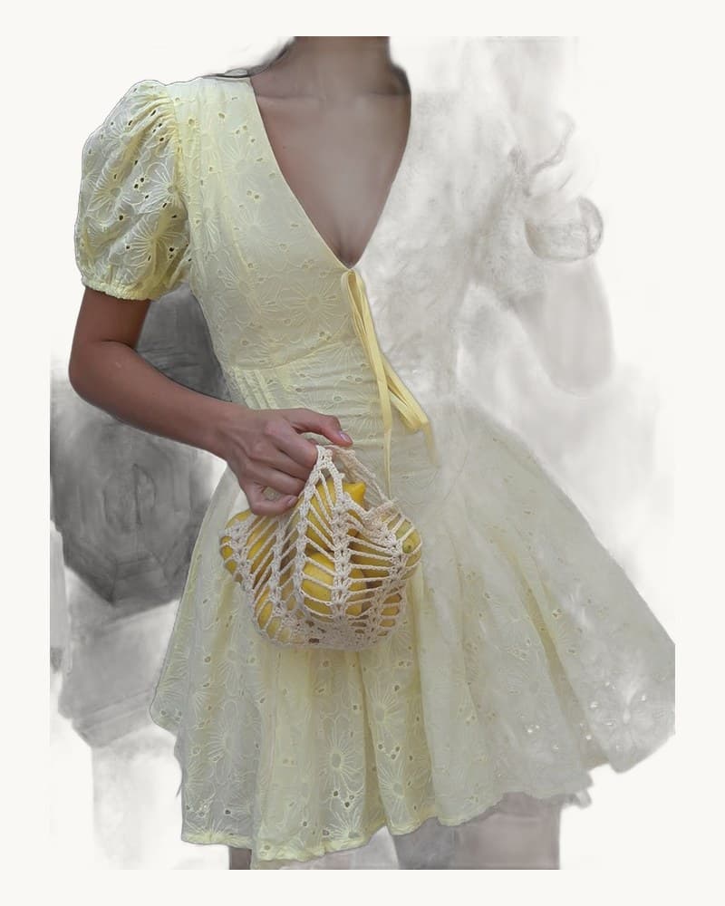 Sexy Fitted Waist Tie Embroidered Mini Dress 1