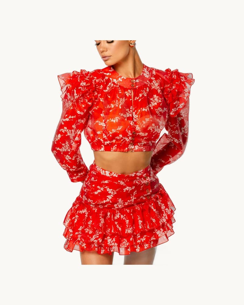 Round Neck Long-sleeved Cropped Top and Printed Skirt 1