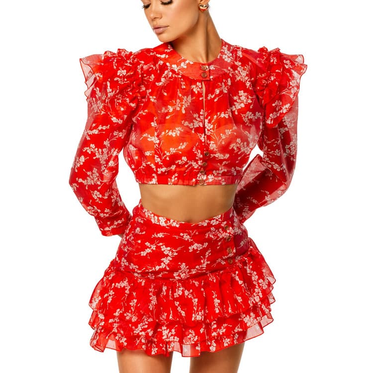 Round Neck Long-sleeved Cropped Top and Printed Skirt 1
